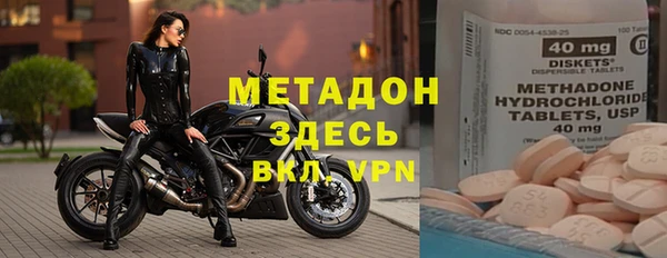 индика Арсеньев
