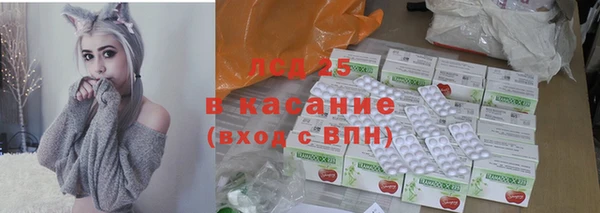 индика Арсеньев