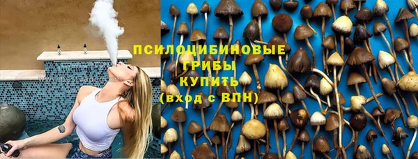 индика Арсеньев