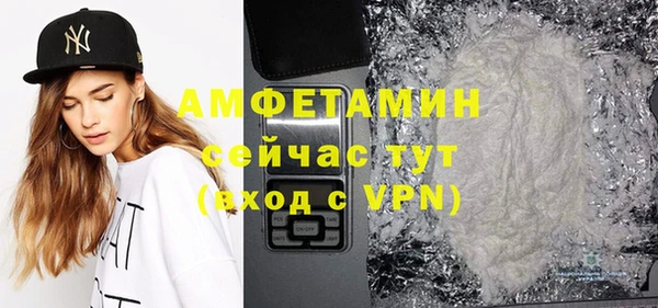 индика Арсеньев