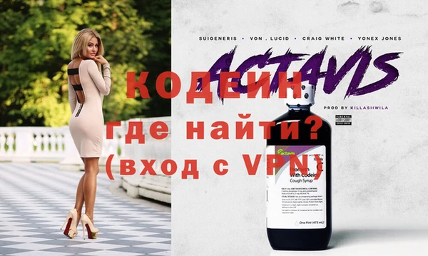 индика Арсеньев
